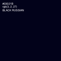 #03021B - Black Russian Color Image